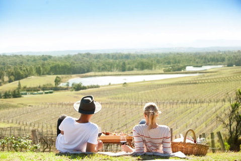 Audrey Wilkinson Vineyard - Mackay Tourism 0