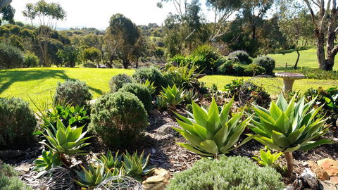 Austiny Bed And Breakfast Victor Harbor - Mackay Tourism 2