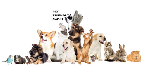 Australian Motor Homes Tourist Park - Mackay Tourism 1