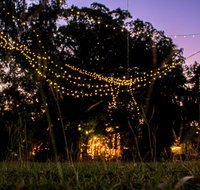 Banyan Tree - Mackay Tourism