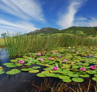 Barrington Hideaway- River Cottages - Mackay Tourism