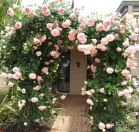 Baudins of Busselton Bed and Breakfast - Mackay Tourism