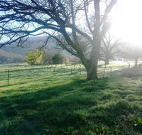 Bay Creek Guest House - Mackay Tourism