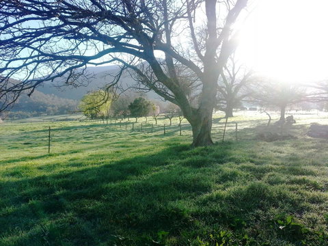 Bay Creek Guest House - Mackay Tourism 0