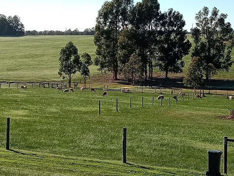 Redtail Ridge Cottages - Mackay Tourism 1