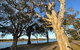 River Gum Apartment - thumb 0
