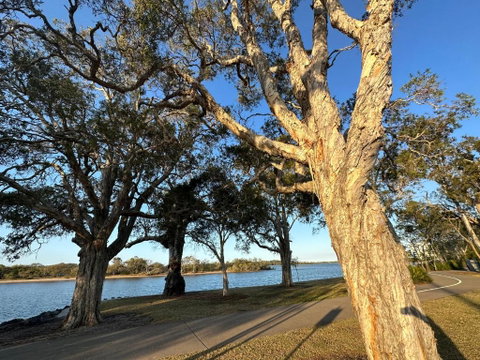 River Gum Apartment - Mackay Tourism 0