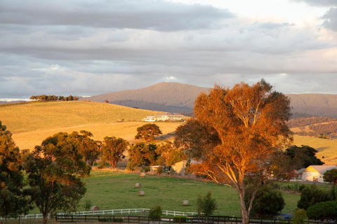 Rose Cottage Yarra Glen - Mackay Tourism 1