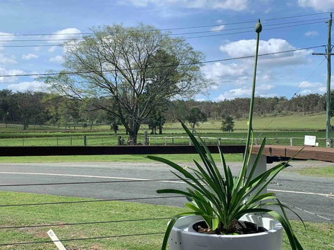 Scenic Rim Country Escape - Mackay Tourism 3