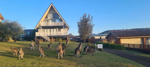 Sea-renity - Mackay Tourism 2