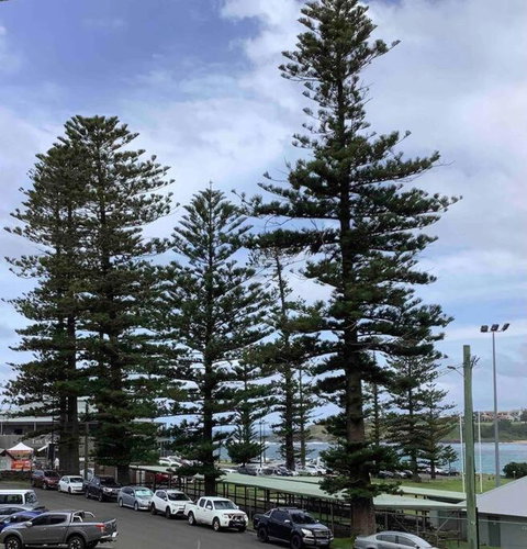 Seabreeze Luxury Apartment Kiama - Mackay Tourism 3