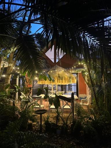 Shellies On The Beach Sawtell - Mackay Tourism 0