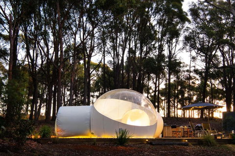 Skyview Bubbletent - Mackay Tourism 1