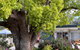 Sturt Motel Balranald - thumb 1
