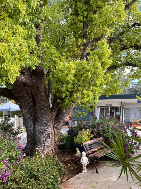 Sturt Motel Balranald - Mackay Tourism 1