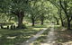 The Avenue Anahdale - Hidden 2.7 Acre Estate In Town - thumb 3