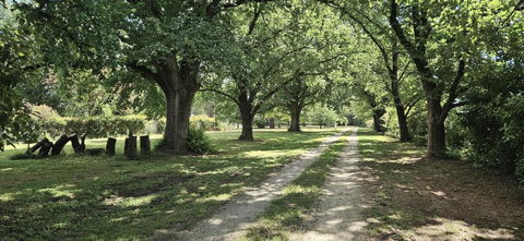 The Avenue Anahdale - Hidden 2.7 Acre Estate In Town - Mackay Tourism 3
