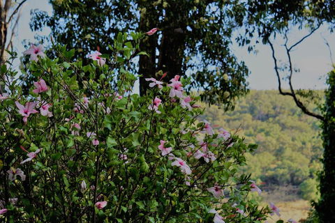 The Getaway Roleystone - Mackay Tourism 1