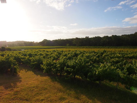 Bed & Breakfast At Tiffany's - Mackay Tourism 1