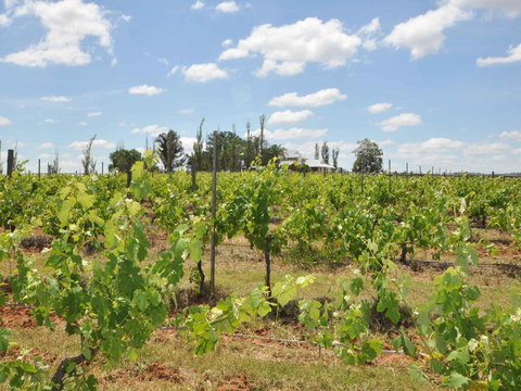 Beggars Bridge Vineyard Homestead W/ Pool + Wifi + Tennis + Vineyard - Mackay Tourism 2