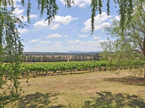 Beggars Bridge Vineyard Homestead W/ Pool + Wifi + Tennis + Vineyard - Mackay Tourism 3