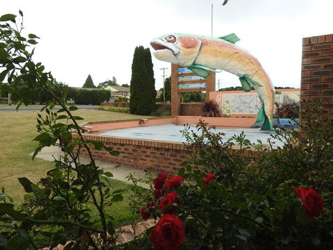 Big Trout Motel - Mackay Tourism 0