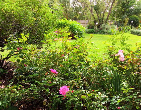 Bindley House B&B Cottage - Mackay Tourism 2