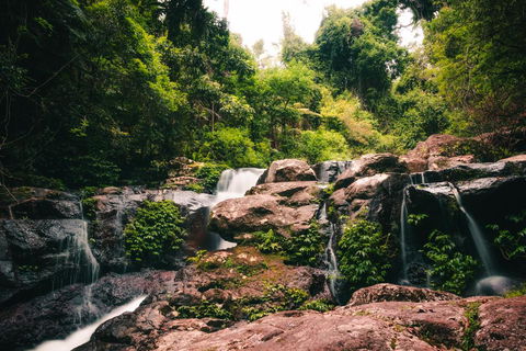 Binna Burra Rainforest Campsite - Mackay Tourism 3