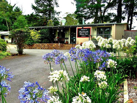 Blackheath Motor Inn - Mackay Tourism 0