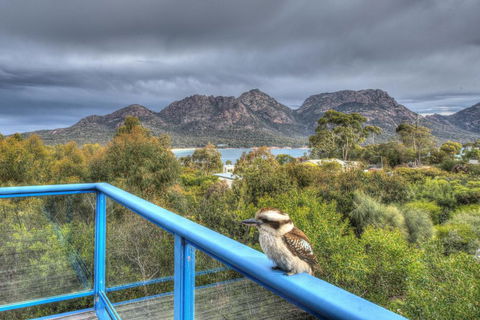 Blue Gum Retreat - Mackay Tourism 2