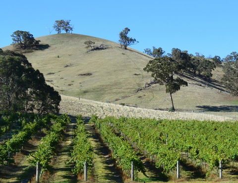 Blue House At Mountainside Wines - Mackay Tourism 3