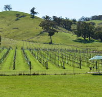 Blue House at Mountainside Wines - Mackay Tourism