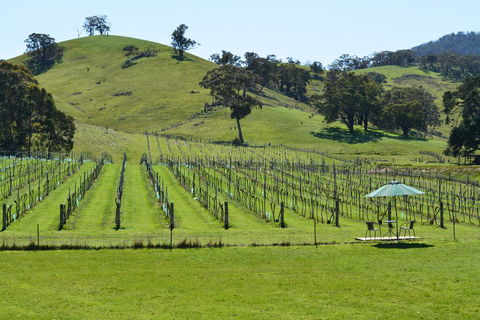 Blue House At Mountainside Wines - Mackay Tourism 0