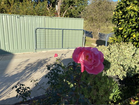 Blue Manor On Fairway - Mackay Tourism 2