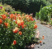 Boat Harbour Garden Cottages - Mackay Tourism