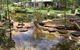 Yamba Hinterland Bush Retreat - Vintage Bus Stay - thumb 0