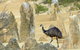 Private, Luxury Pinnacles Tour: Stargazing, Sand-boarding & Sightseeing - thumb 5
