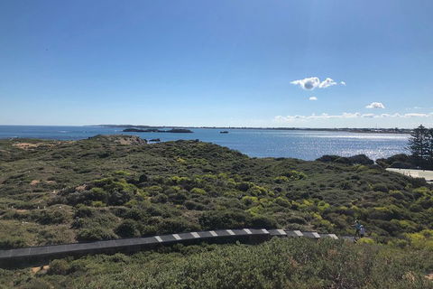 Penguin Island And Fremantle - Canoe, Chocolate & Coffee - Mackay Tourism 0