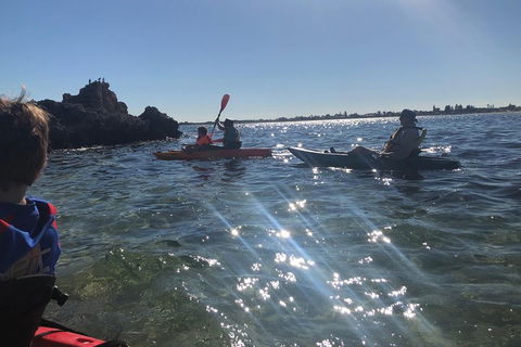 Penguin Island And Fremantle - Canoe, Chocolate & Coffee - Mackay Tourism 1