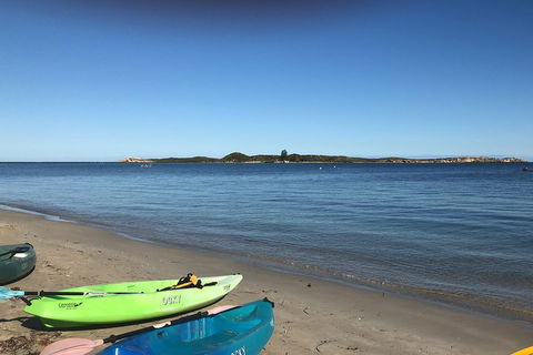 Penguin Island And Fremantle - Canoe, Chocolate & Coffee - Mackay Tourism 2