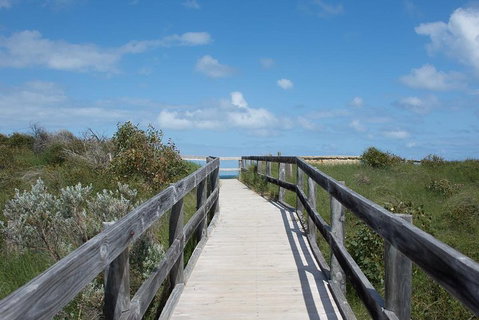 Yanchep & Lancelin - Wildlife, Cave And Sands - Mackay Tourism 2