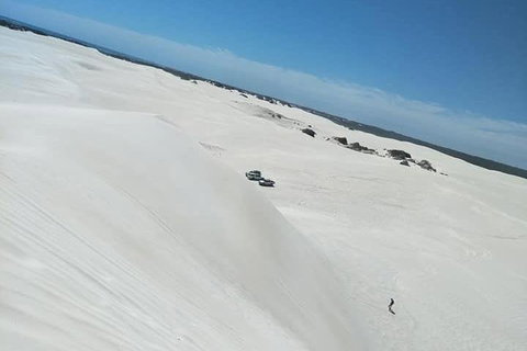 Yanchep & Lancelin - Wildlife, Cave And Sands - Mackay Tourism 3