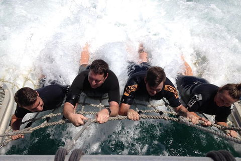 Cruise In Moreton Bay Marine Park And Moreton Island - Mackay Tourism 0