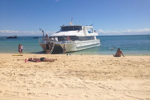 Cruise In Moreton Bay Marine Park And Moreton Island - Mackay Tourism 4