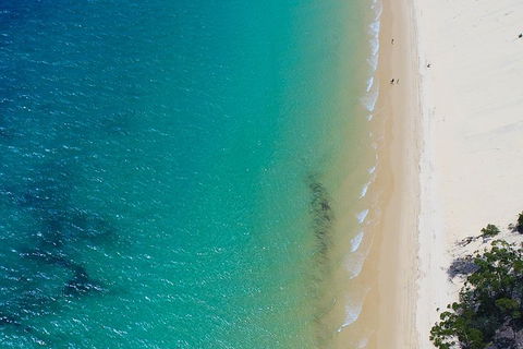 Private Tangalooma Wrecks Tour - Mackay Tourism 1