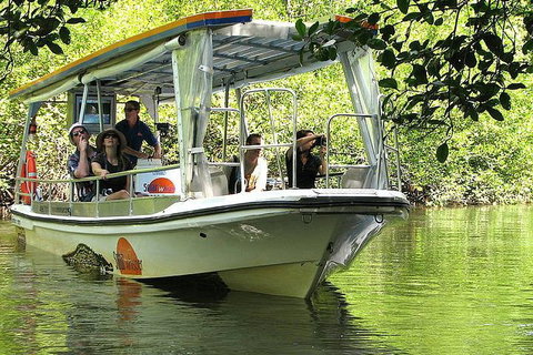 5-Day Best Of Cairns With Daintree, Kuranda, And Great Barrier Reef - Mackay Tourism 1