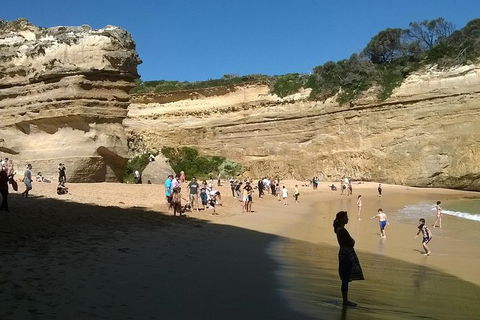 Great Ocean Road Full Day Private Experience - Mackay Tourism 3