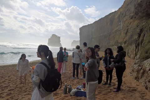 Great Ocean Road Full Day Private Experience - Mackay Tourism 4