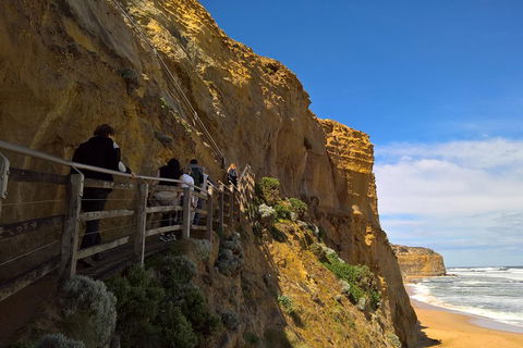 Private Express Experience - 12 Apostles - Mackay Tourism 3