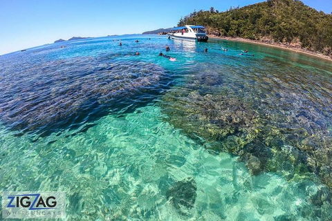 Whitehaven Beach Day Tour With Snorkel In Whitsundays Island - Mackay Tourism 5